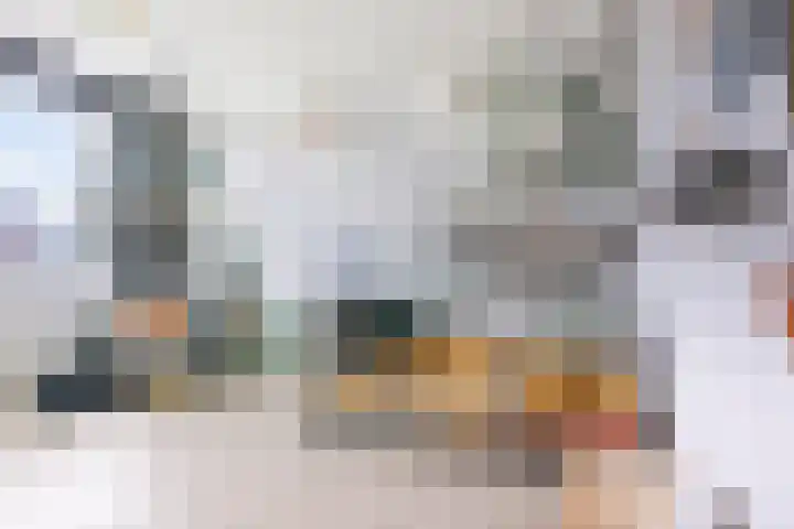 Molenwerf 67 Spaarndam thumbnail 32
