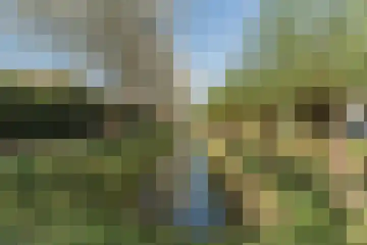 Molenwindsingel 40 Culemborg thumbnail 39
