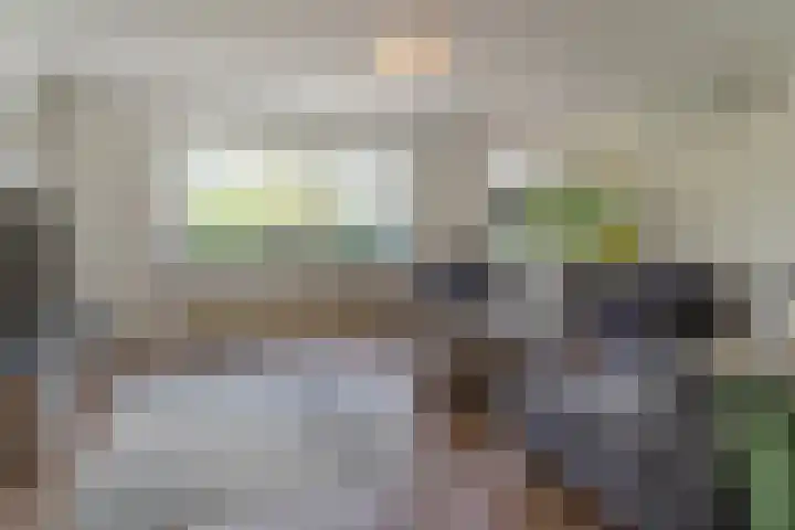Molenwindsingel 40 Culemborg thumbnail 6
