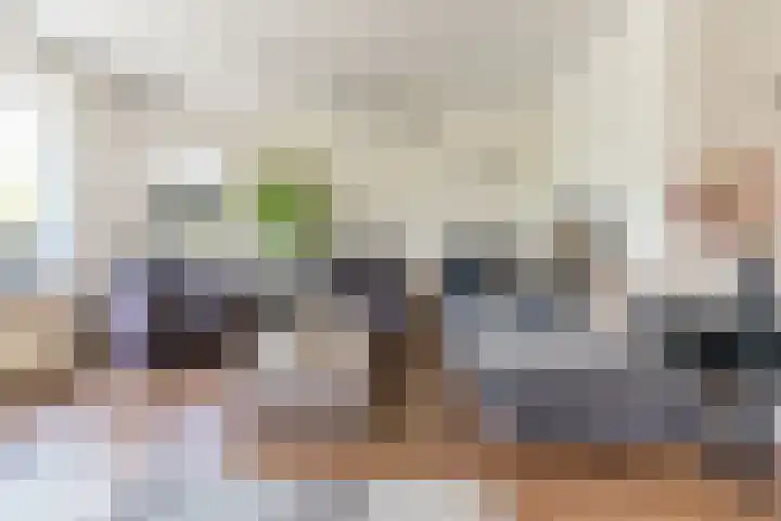 Molenwindsingel 40 Culemborg thumbnail 7