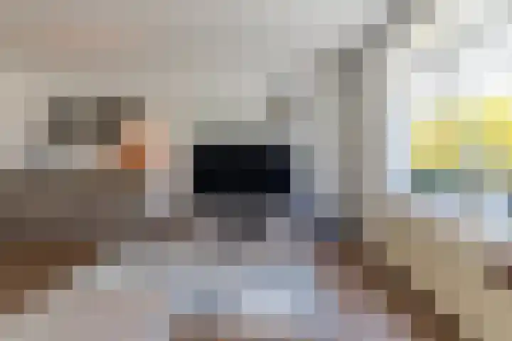 Molenwindsingel 40 Culemborg thumbnail 8