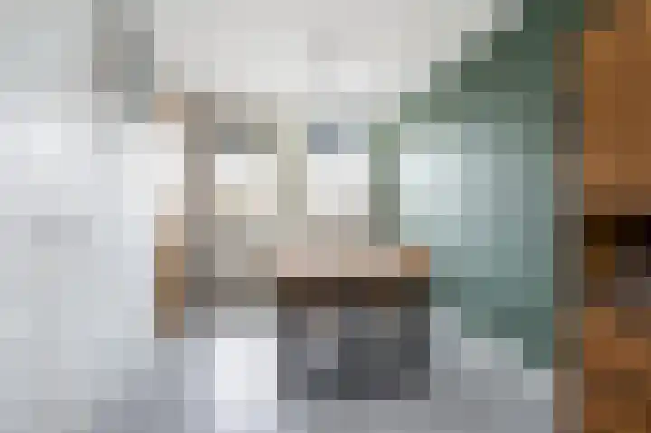 Molenzicht 145 Dirksland thumbnail 11