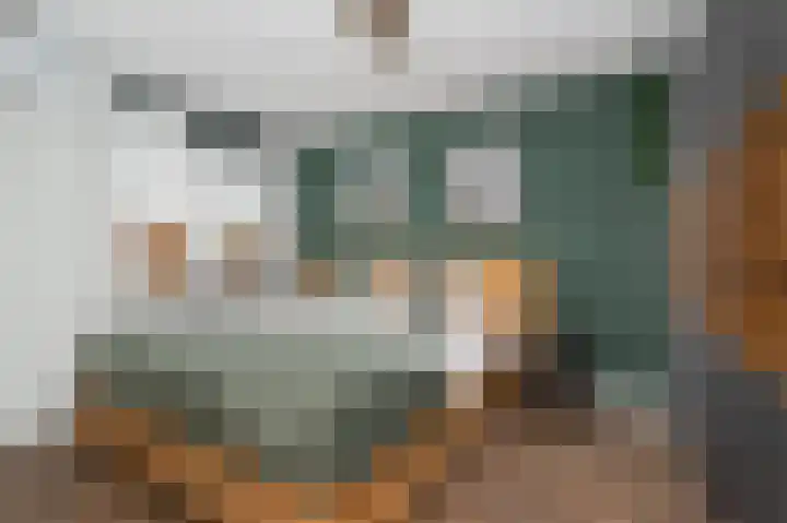 Molenzicht 145 Dirksland thumbnail 18