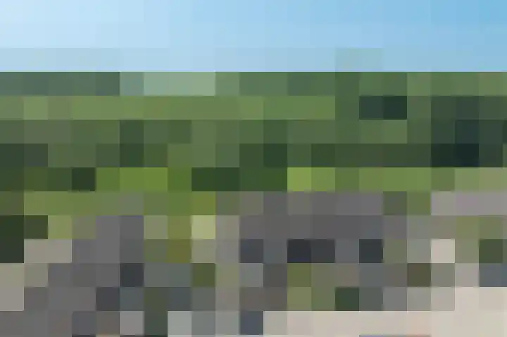 Molenzicht 145 Dirksland thumbnail 30