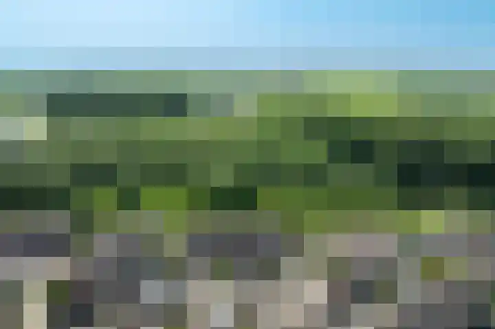 Molenzicht 145 Dirksland thumbnail 32