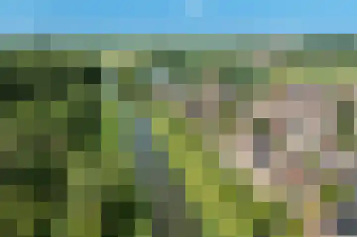Molenzicht 145 Dirksland thumbnail 33