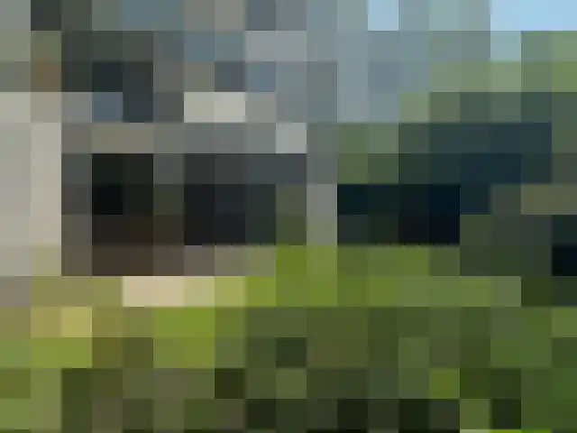 Molenzicht 2 Leiden thumbnail 21