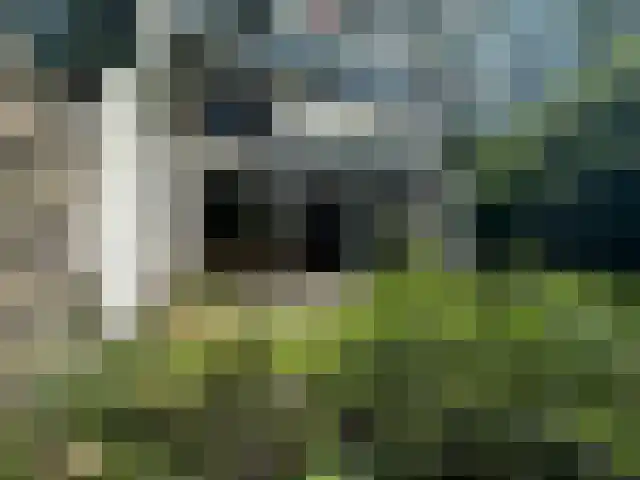 Molenzicht 2 Leiden thumbnail 22
