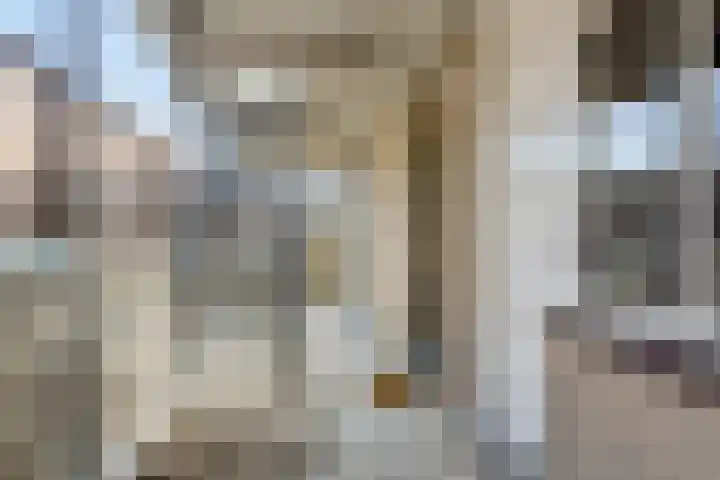 Molenzicht 7 Leiden thumbnail 13