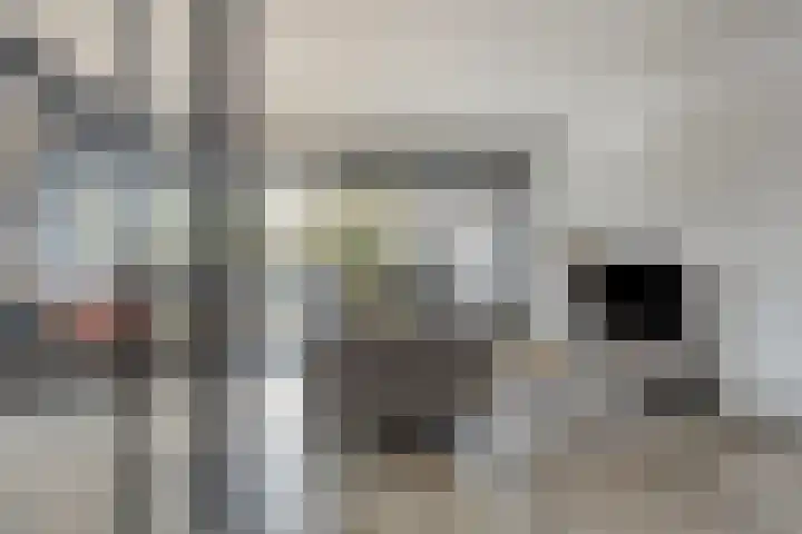 Molenzicht 7 Leiden thumbnail 17