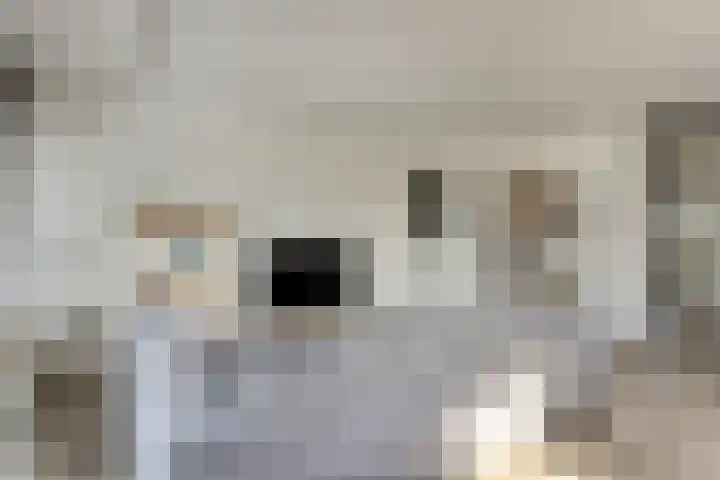 Molenzicht 7 Leiden thumbnail 23