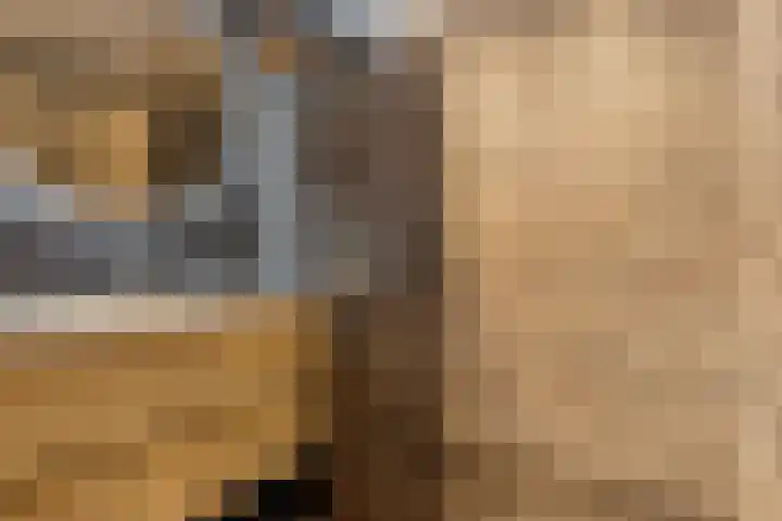 Molenzicht 7 Leiden thumbnail 31