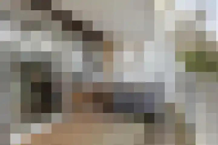 Molenzicht 7 Leiden thumbnail 37