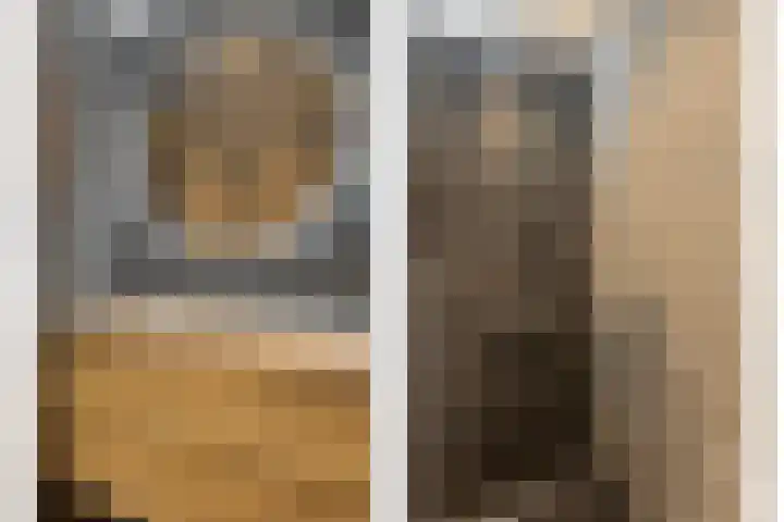 Molenzicht 7 Leiden thumbnail 4