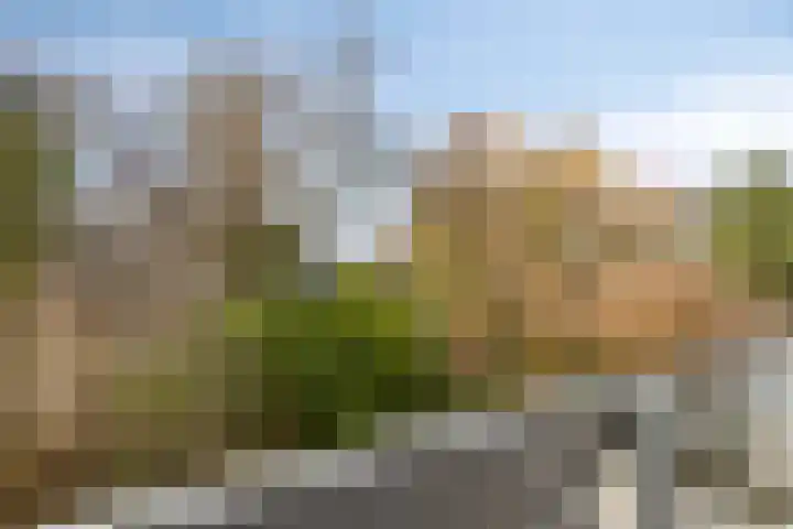 Molenzicht 7 Leiden thumbnail 40