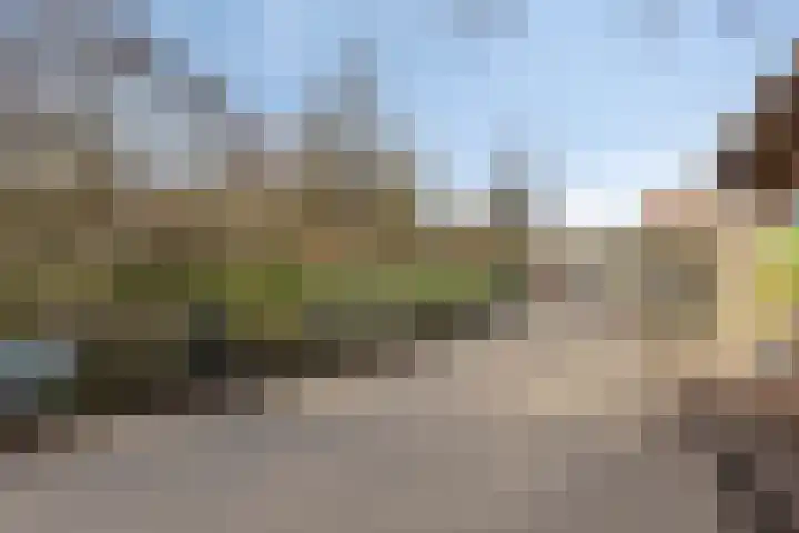 Molenzicht 7 Leiden thumbnail 43