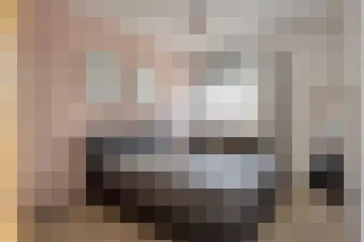 Molenzicht 7 Leiden thumbnail 5