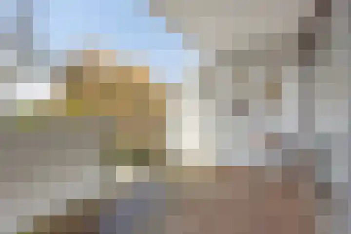 Molenzicht 7 Leiden thumbnail 6