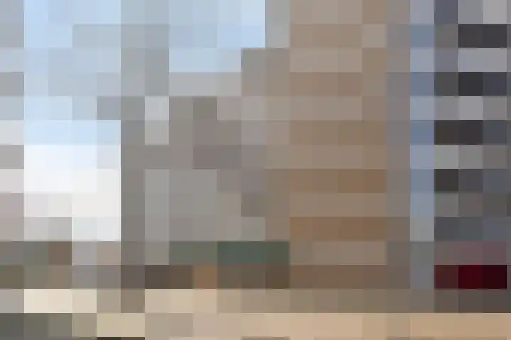 Molenzicht 7 Leiden thumbnail 9
