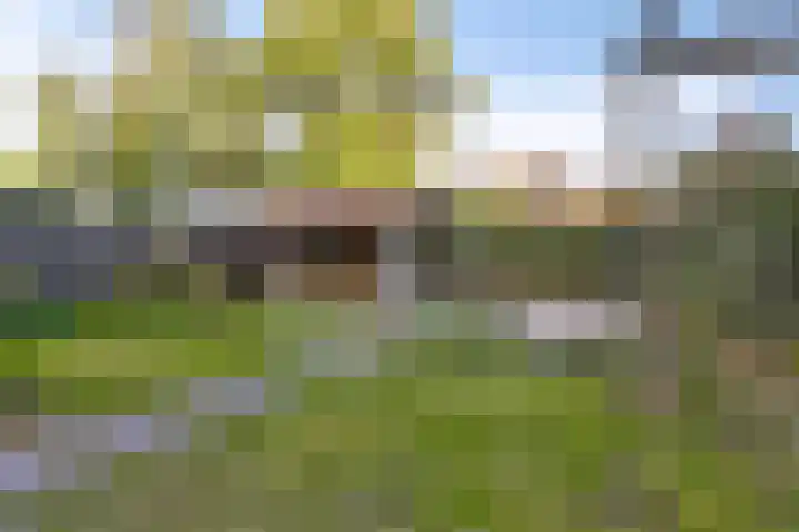Molepaed 49 Sexbierum thumbnail 20