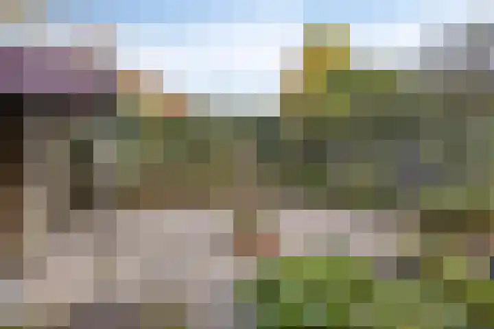 Molepaed 49 Sexbierum thumbnail 21