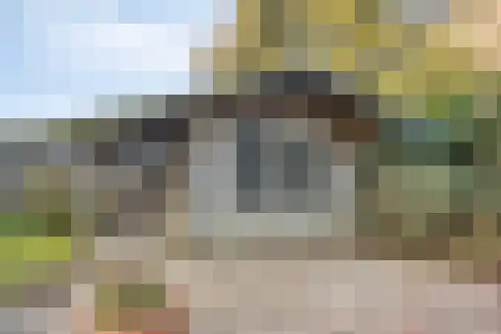 Molepaed 49 Sexbierum thumbnail 22