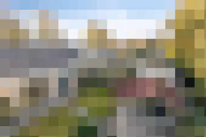 Molepaed 49 Sexbierum thumbnail 24