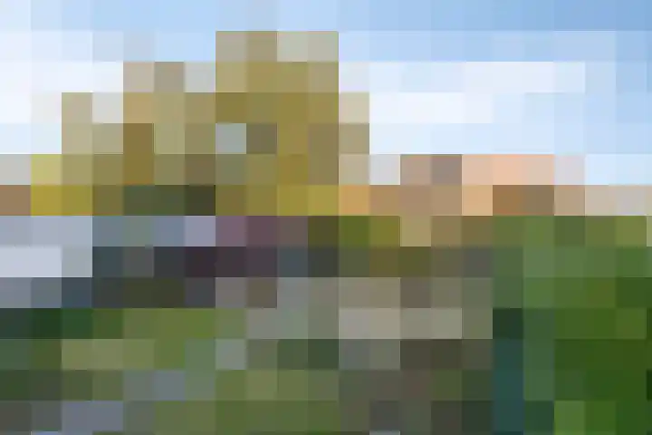 Molepaed 49 Sexbierum thumbnail 25