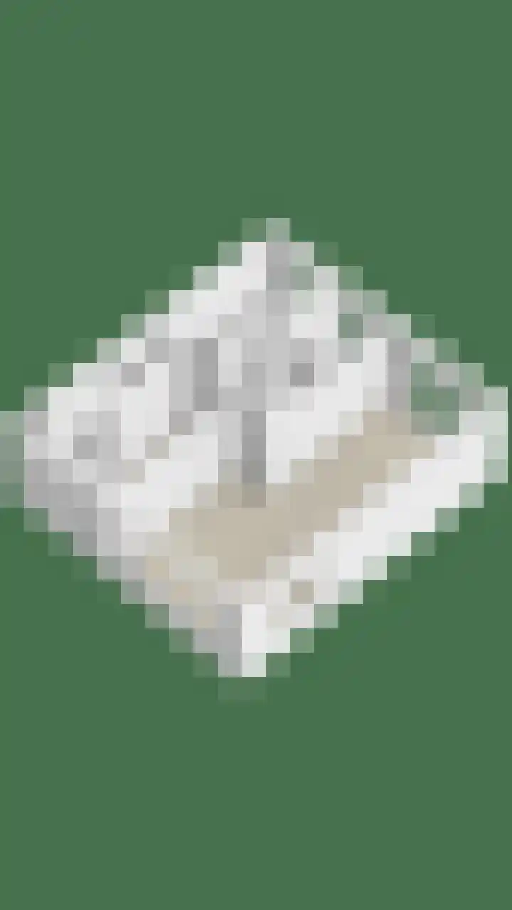 Molepaed 49 Sexbierum thumbnail 31