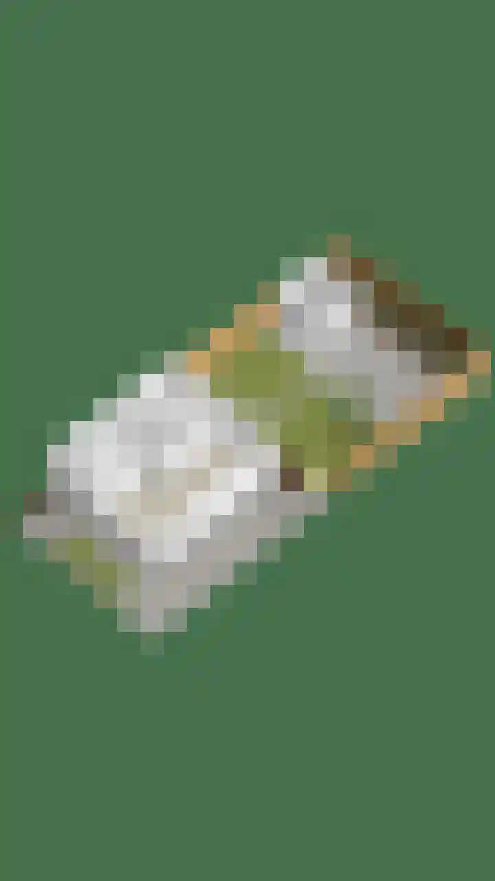 Molepaed 49 Sexbierum thumbnail 34