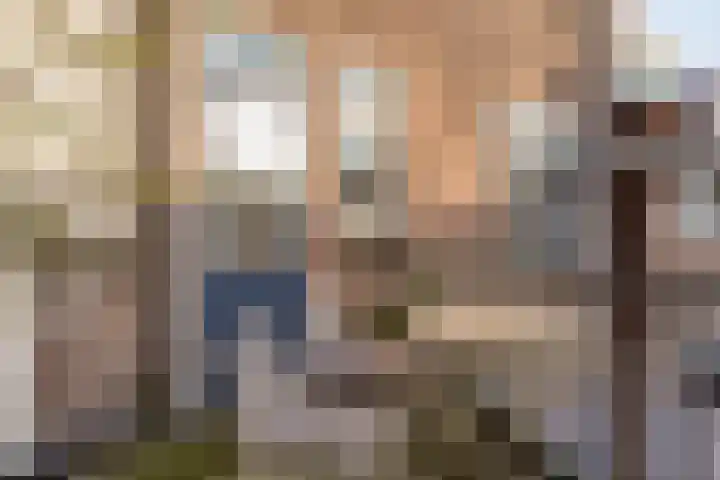 Moliusstraat 13 's-Hertogenbosch thumbnail 6