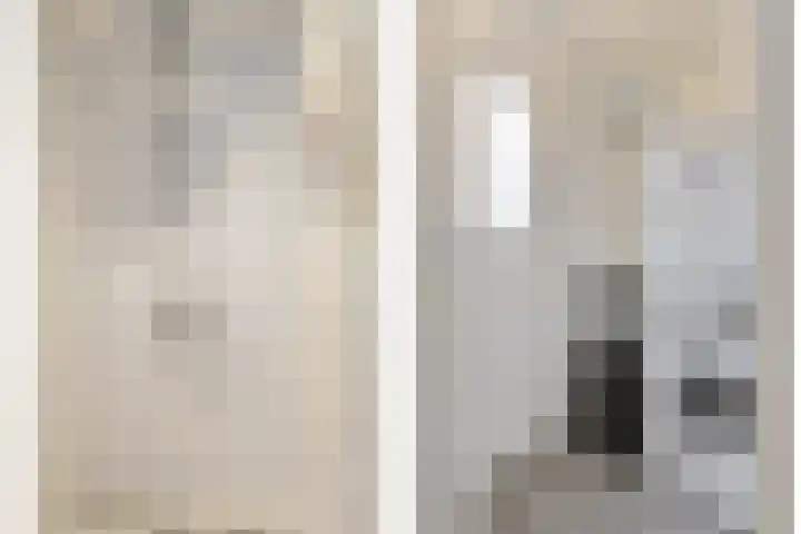 Moliusstraat 19 's-Hertogenbosch thumbnail 30