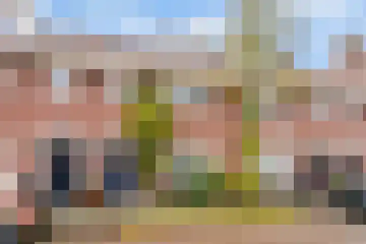 Moliusstraat 19 's-Hertogenbosch thumbnail 37