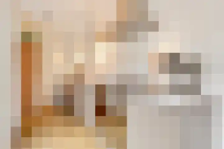 Moliusstraat 19 's-Hertogenbosch thumbnail 7