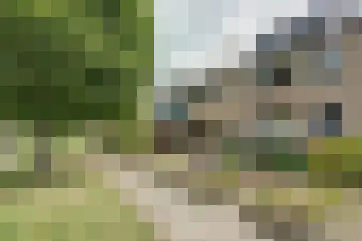 Molkampen 29 Eelde thumbnail 4