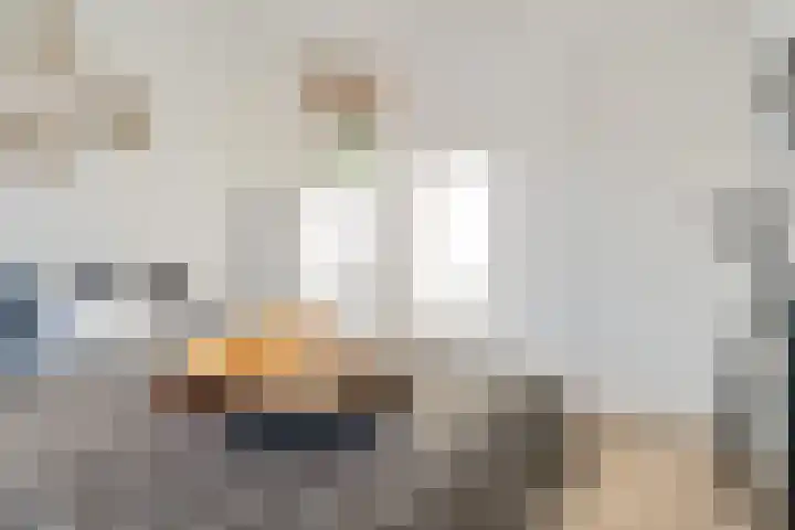 Möllenbergstraat 37 Losser thumbnail 27