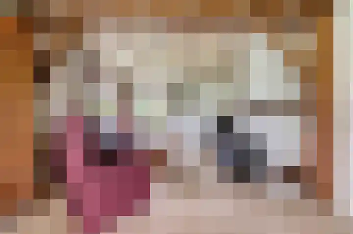 Mölleweg 2 Beltrum thumbnail 12