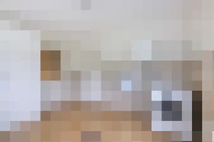 Mölleweg 2 Beltrum thumbnail 20