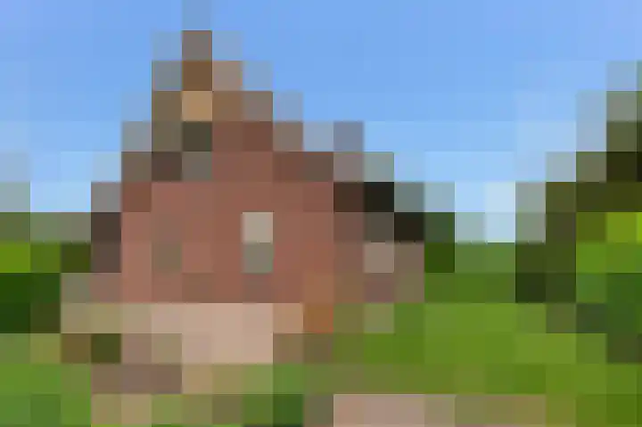 Mölleweg 2 Beltrum thumbnail 35