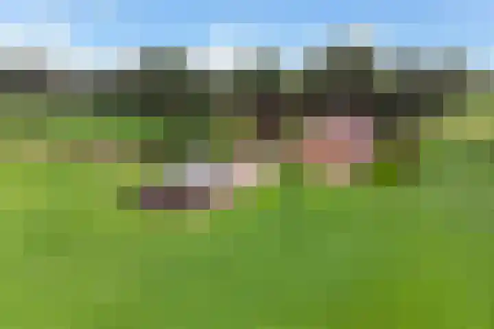 Mölleweg 2 Beltrum thumbnail 42