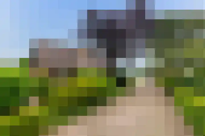 Mölleweg 2 Beltrum thumbnail 7