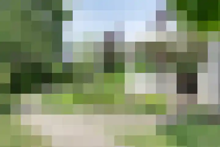 Molstraat 5 Dreischor thumbnail 45