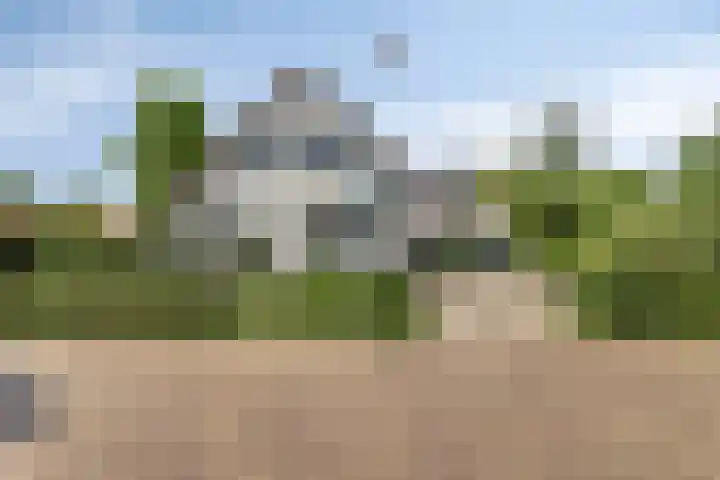 Molstraat 5 Dreischor thumbnail 6