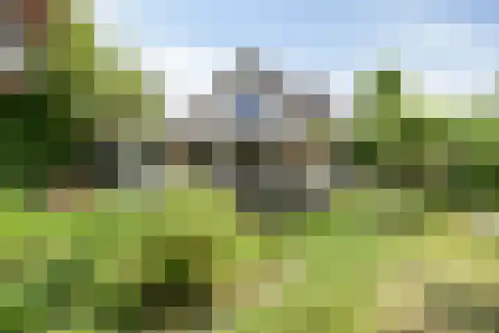 Molstraat 5 Dreischor thumbnail 7