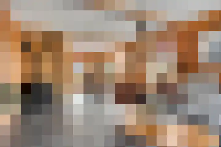 Molstraat 5 Dreischor thumbnail 9