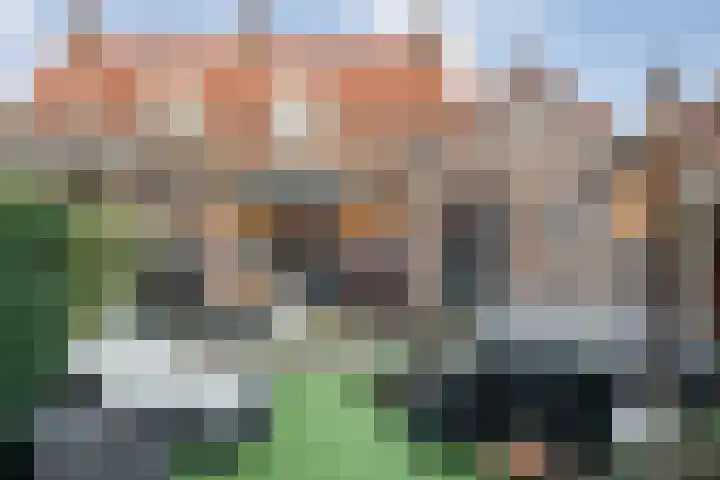 Molstraat 50 Dedemsvaart thumbnail 69
