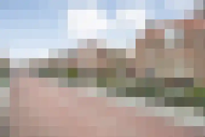 Molstraat 50 Dedemsvaart thumbnail 78
