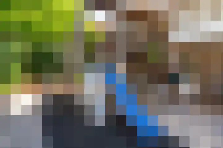Moltbos 34 Landgraaf thumbnail 37