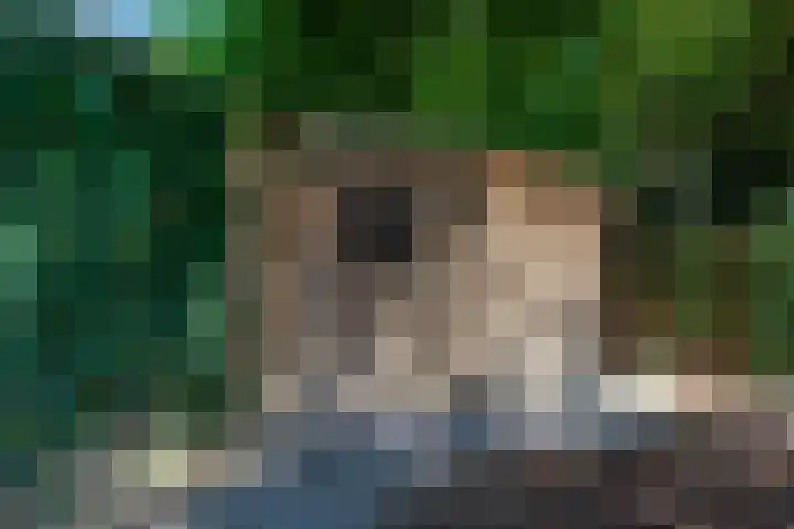 Moltbos 34 Landgraaf thumbnail 44