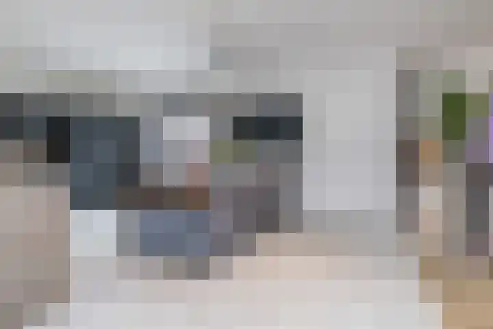Moltbos 4 Landgraaf thumbnail 20